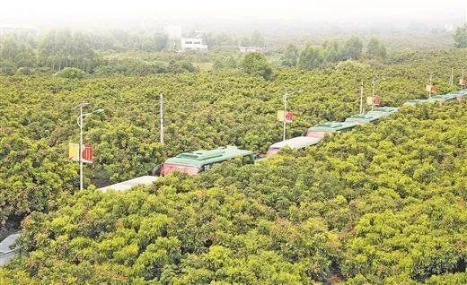 重点县名单公布 柳州这里入选