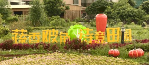 科技农业 度假旅游,源城蔬菜现代农业产业园打造农旅融合发展样板