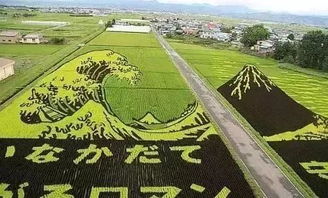2019年,7个能赚钱的农业新模式