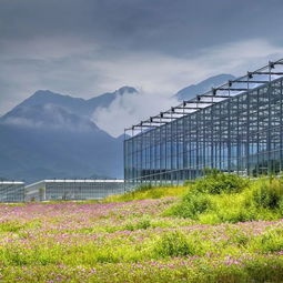 武功山.花涧里现代农业观光园开园仪式顺利举办 内附大量美图