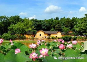 乡村旅游 农业 旅游 融合发展而衍生出的项目类型有这些