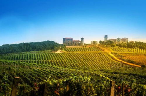 要火 2023江苏省乡村游精品出炉,盱眙这条旅游线路入选