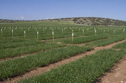 青州地主网 首个国家级农业综合试验区落户山东 15大红利 下一个会是
