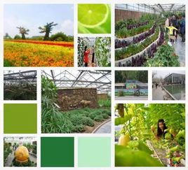 超详细的农业公园概念及规划方法 ppt