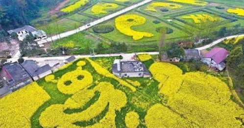 农业最赚钱的一年要来了