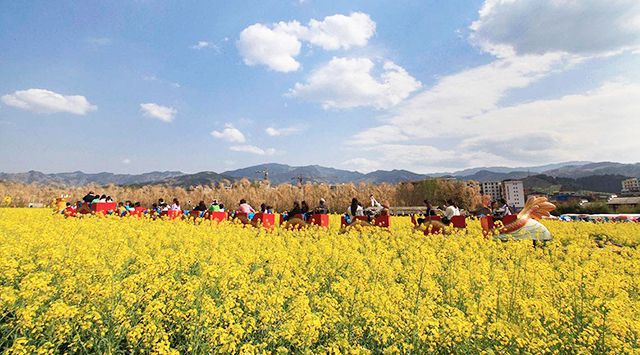 2019年休闲农业与乡村旅游业如何推进发展?