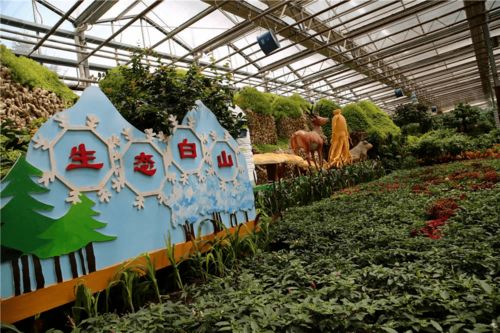 这里一园看四季 顶尖旅游达人纷纷来点赞