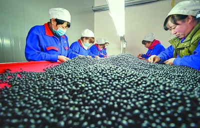 绥化谱写全面振兴发展新篇章