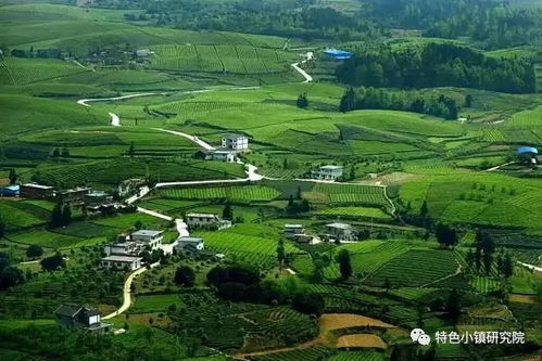 农村集体用地如何开发 3大类别6种方式