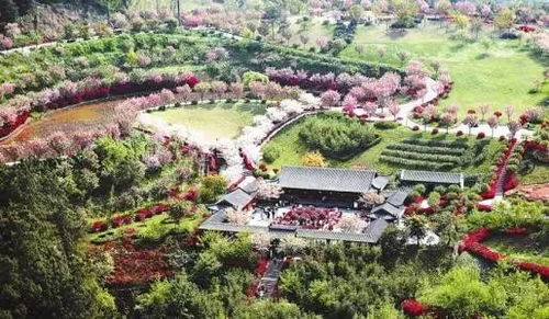 如何借 5 2 模式发展休闲农业和乡村旅游