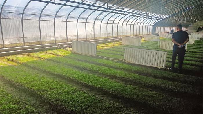 西北中药材种质资源收集保护与开发利用研讨会专家学者实地调研甘肃中医药产业发展