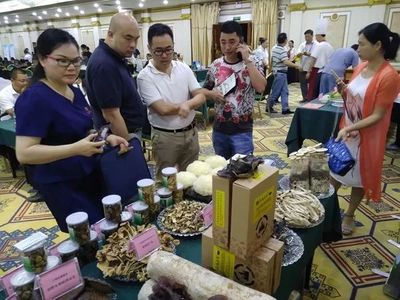 崇左市参加2018年广西食用菌投资合作项目推介洽谈会