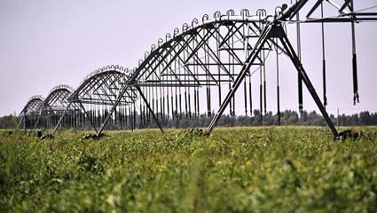 西部大开发10周年:设施农业促内蒙古成为“天下粮仓”
