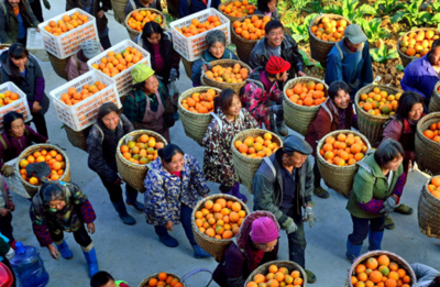 重庆秀山:务实创新抓文旅融合发展 攻坚克难促旅游再创新高