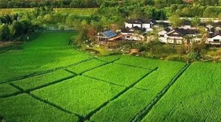 走进成都:看多利农庄破题开发商进军乡村!