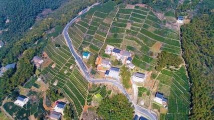 渔山乡如何大力发展美丽经济?区农办怎样打造乡村振兴先行区?