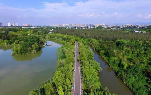 从近郊入闹市,春天最美的模样藏在锦江