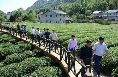 知识|搞懂这8个一体化!轻松赚千万