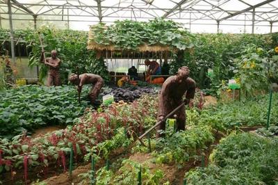 中国首批“国家生态园林城市”的县级市,是“盐都”,但不是自贡