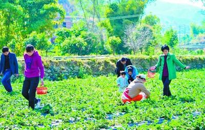 见证发展!“数”说仁和区改革开放40年的经济社会发展成就