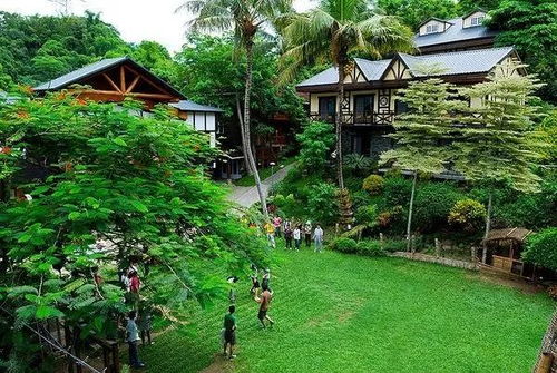 休闲农业 特色小镇如何规划设计与开发