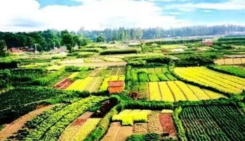 国家级田园综合体的十大开发模式 农业与旅游业结合