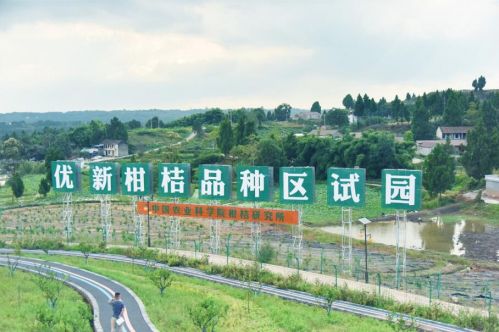 聚焦成渝地区双城经济圈 崛起的资阳