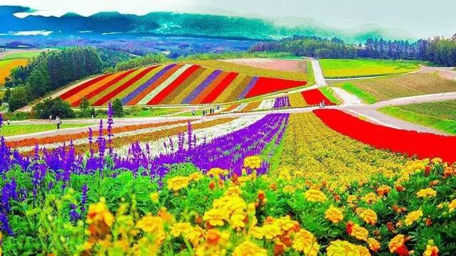 失败的休闲农业案例告诉我们,除了钱这些东西也很重要!