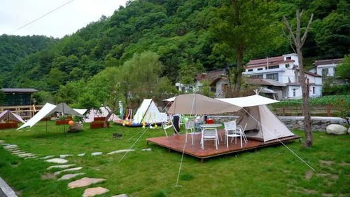 又出圈了 汉中这条火爆到家的精品研学游路线,你去打卡了吗