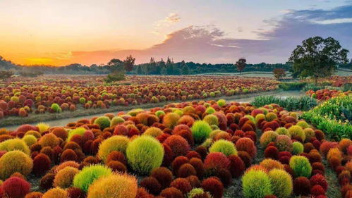 美丽中国 上海篇丨让绿色成为最动人底色最温暖亮色