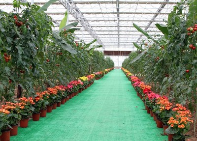 阿坝职业学院热门专业简介