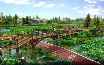 解读|旅游绿道--“骑”乐无穷的健康、幸福、和谐之道