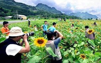 2016年中国休闲农业十五大事件
