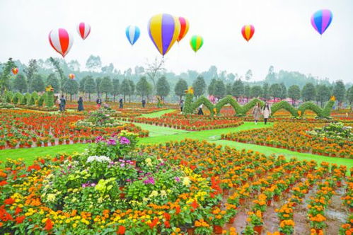 擦亮“银岳池”金字招牌 探索农业旅游开发新路径