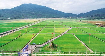 从滨海渔村到国际湾区 海南九年蜕变之路与农业旅游新篇