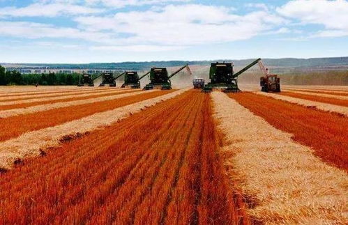 哈尔滨的得名与农业旅游发展前景