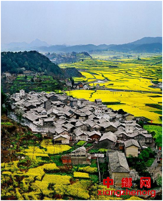 深挖乡愁文化打造乡村振兴文旅融合新业态——以贵州安顺农业旅游开发为例