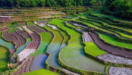 洛江农业旅游开发 适合的模式分析与展望