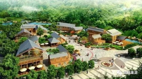 巢湖之畔 智慧养老、七旬拳师与农业旅游的融合新篇