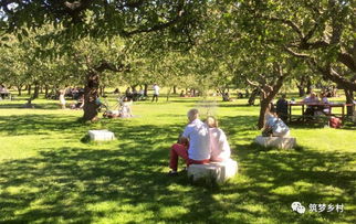 中国农业旅游的发展历程与盈利模式探析