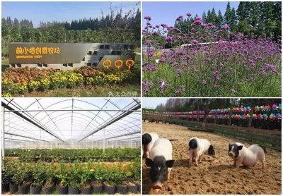 2018文旅地产与农业旅游开发专题研讨会 美丽乡村与特色小镇新机遇