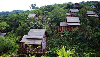 农业旅游开发新路径 中国旅游民宿产业创新与生态发展论坛在海南举办