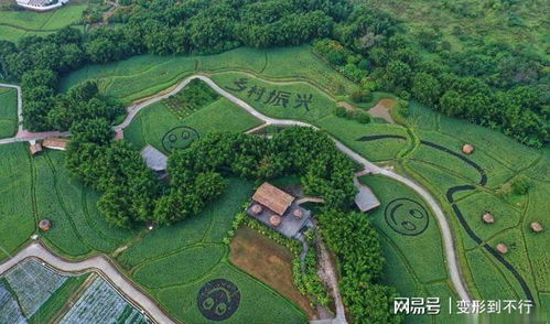 点赞！广州从化四个特色小镇拟纳入省级培育库，农业旅游开发谱写新篇