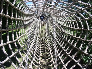 农旅融合新画卷 从游乐场到蜘蛛网的网格化探索