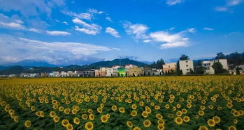 开发农旅项目怎么 拿地 最全报批流程请收好