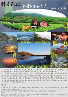【凤凰腾飞,绿色共享】