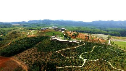 巾帼科技绘就田园新景 儋州某单位荣膺“全国巾帼现代农业科技示范基地”的启示