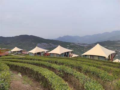 茶香引客来，文旅促振兴——岩岭村茶旅融合发展的实践与启示